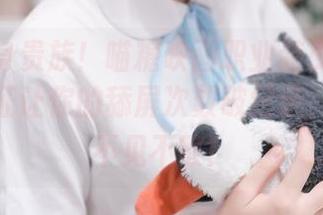 拯救单身贵族！喵糖映画职业装少女新套图，保证让你的舔屏次数破纪录，更新中不见不散！
